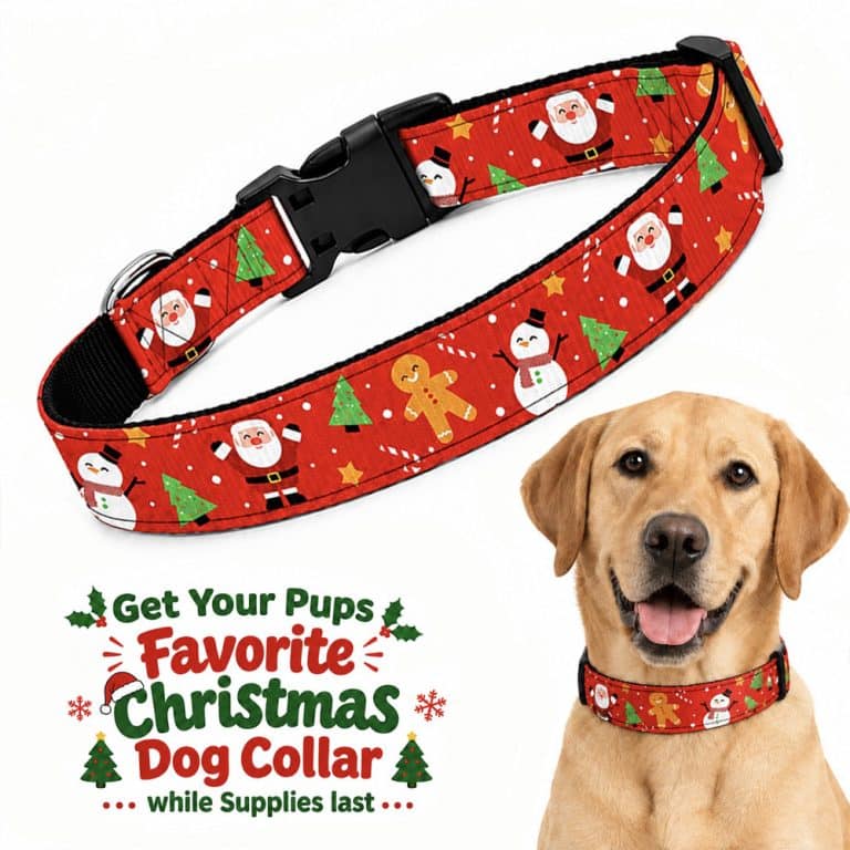 Christmas Dog Collar S-XL