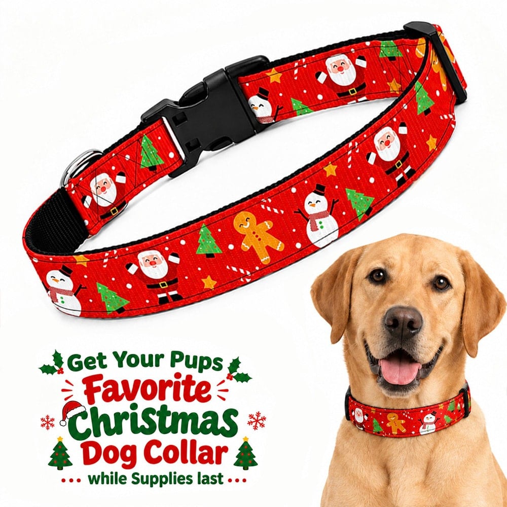 Christmas Dog Collar S-XL