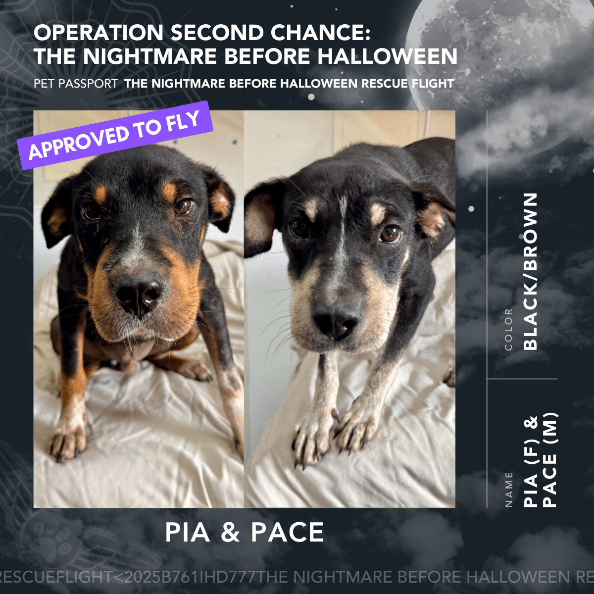 Pia & Pace - Rescue Flight Passports