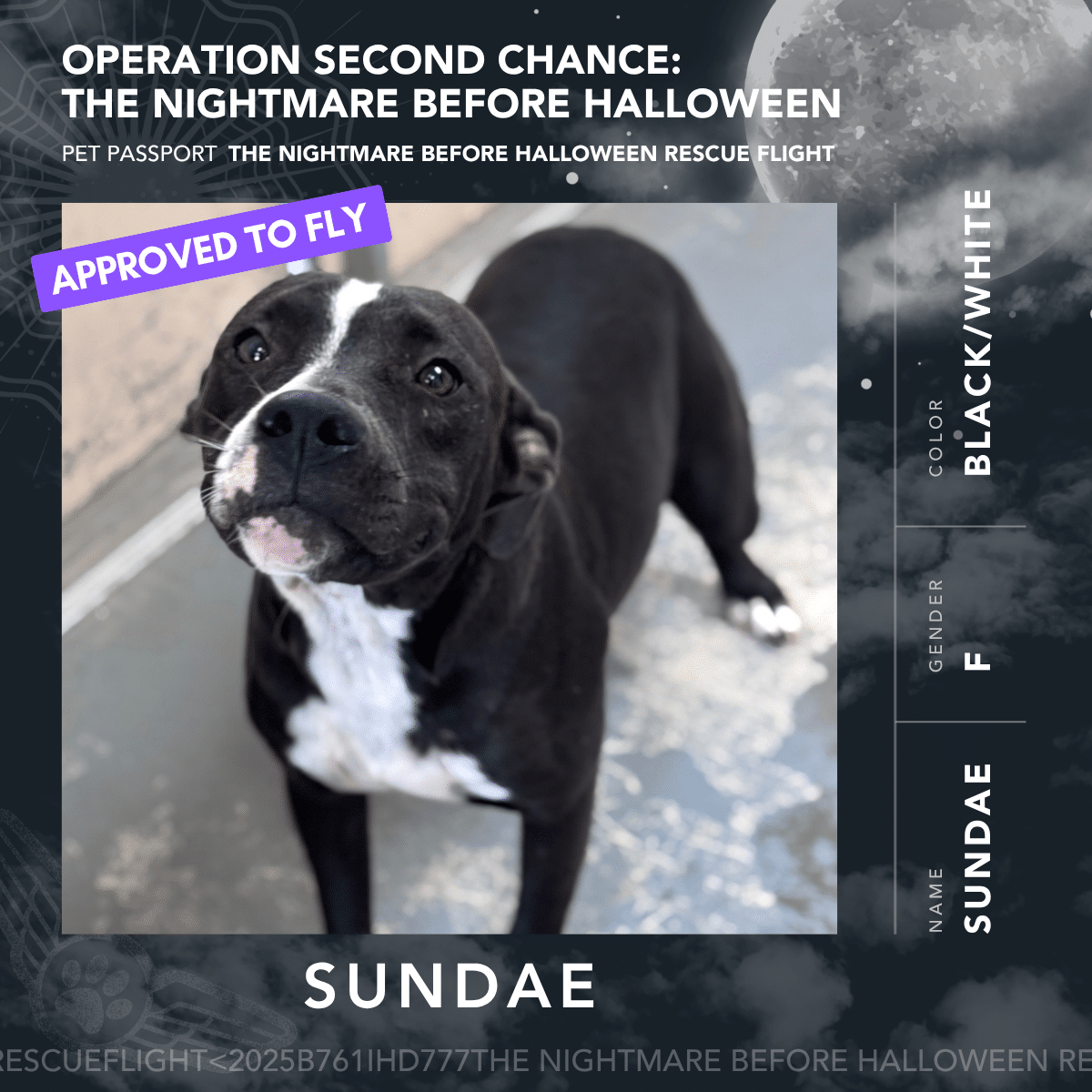 Sundae - Rescue Flight Passports
