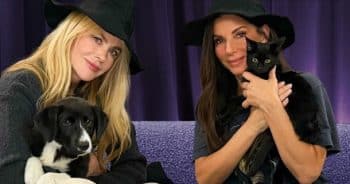Sandra Bullock and Nicole Kidman with pets