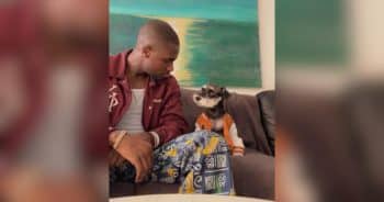 How a Rescue Pup Named Duke Became a Man's Steady Anchor