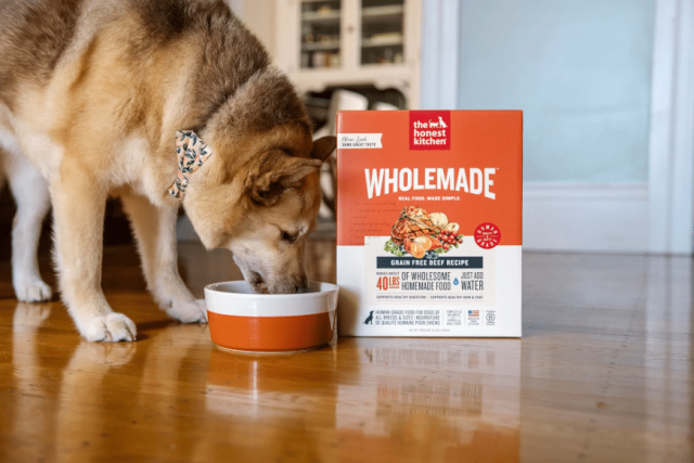 Dog eating rehydrated The Honest Kitchen Wholemade grain-free beef recipe beside the box