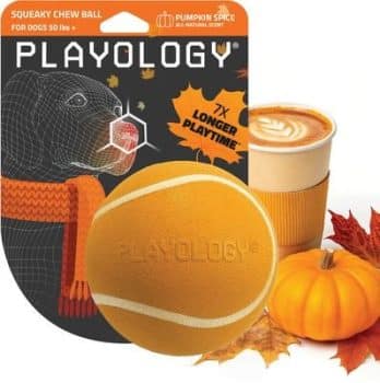 Playology Halloween Pumpkin Spice Scented Squeaky Chew Ball Dog Toy