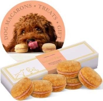 Bonne et Filou Handmade Pumpkin Human-Grade Macaron Dog Treats