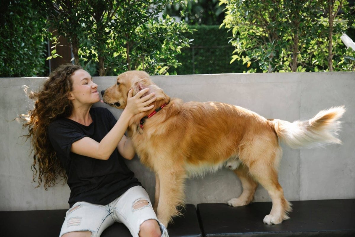 A loving dog expressing spontaneous affection and heartfelt devotion toward family.