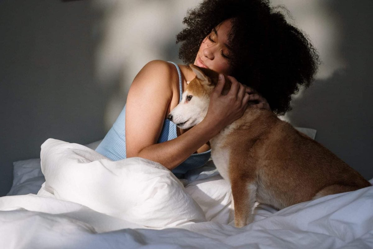 A senior dog showing enduring loyalty through gentle and familiar companionship.