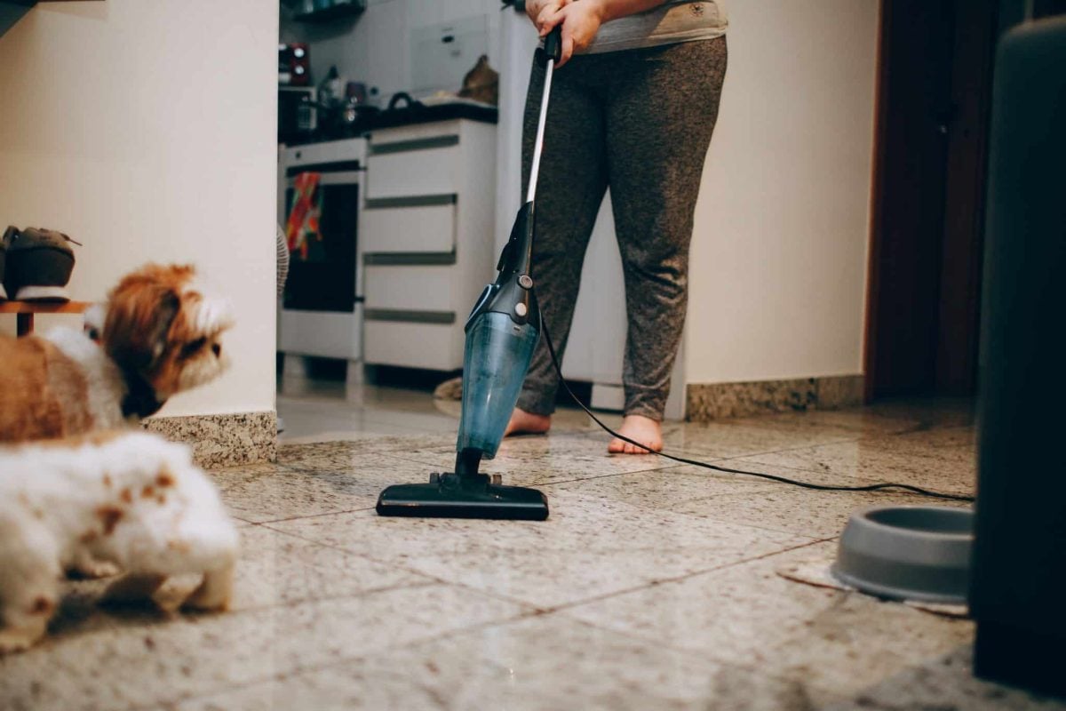 An observant dog showing amusing dedication to supervising ordinary household activities.