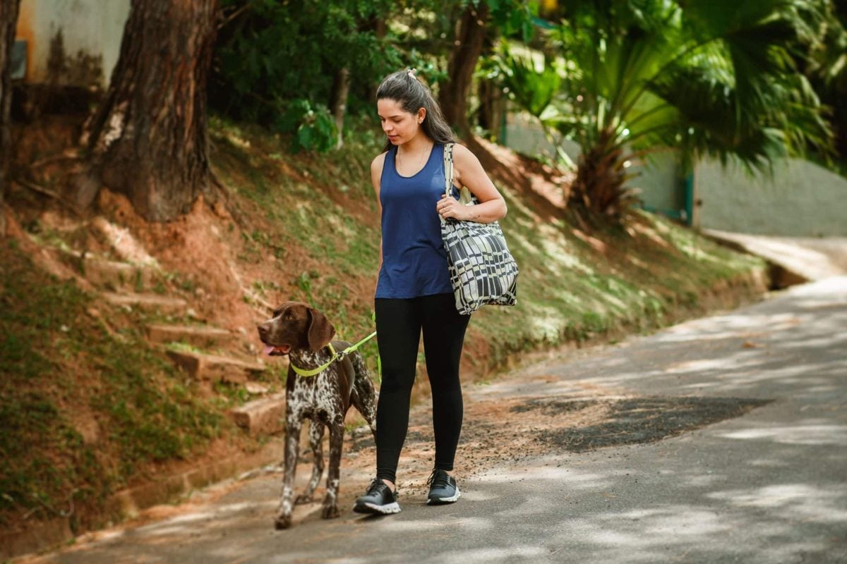 An observant dog showing devotion through close attention to familiar daily routines.