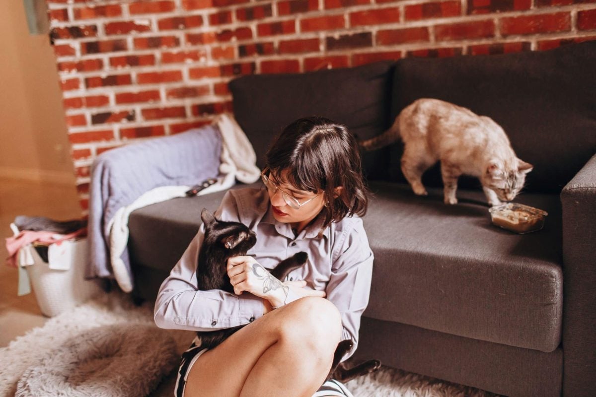 A relaxed tabby cat sitting beside their person on a sofa while choosing whether to accept gentle petting.
