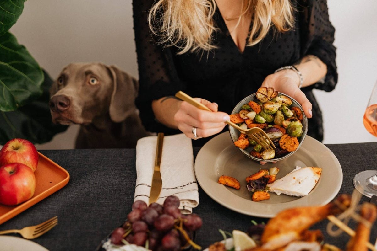 An interested dog displaying hopeful curiosity during an important household activity.