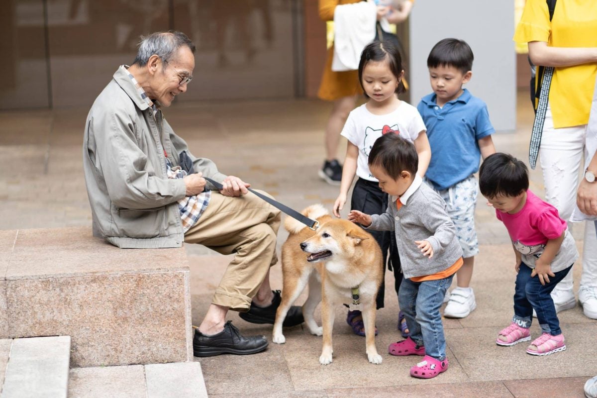 A charming dog displaying playful confidence and an irresistible desire for attention.