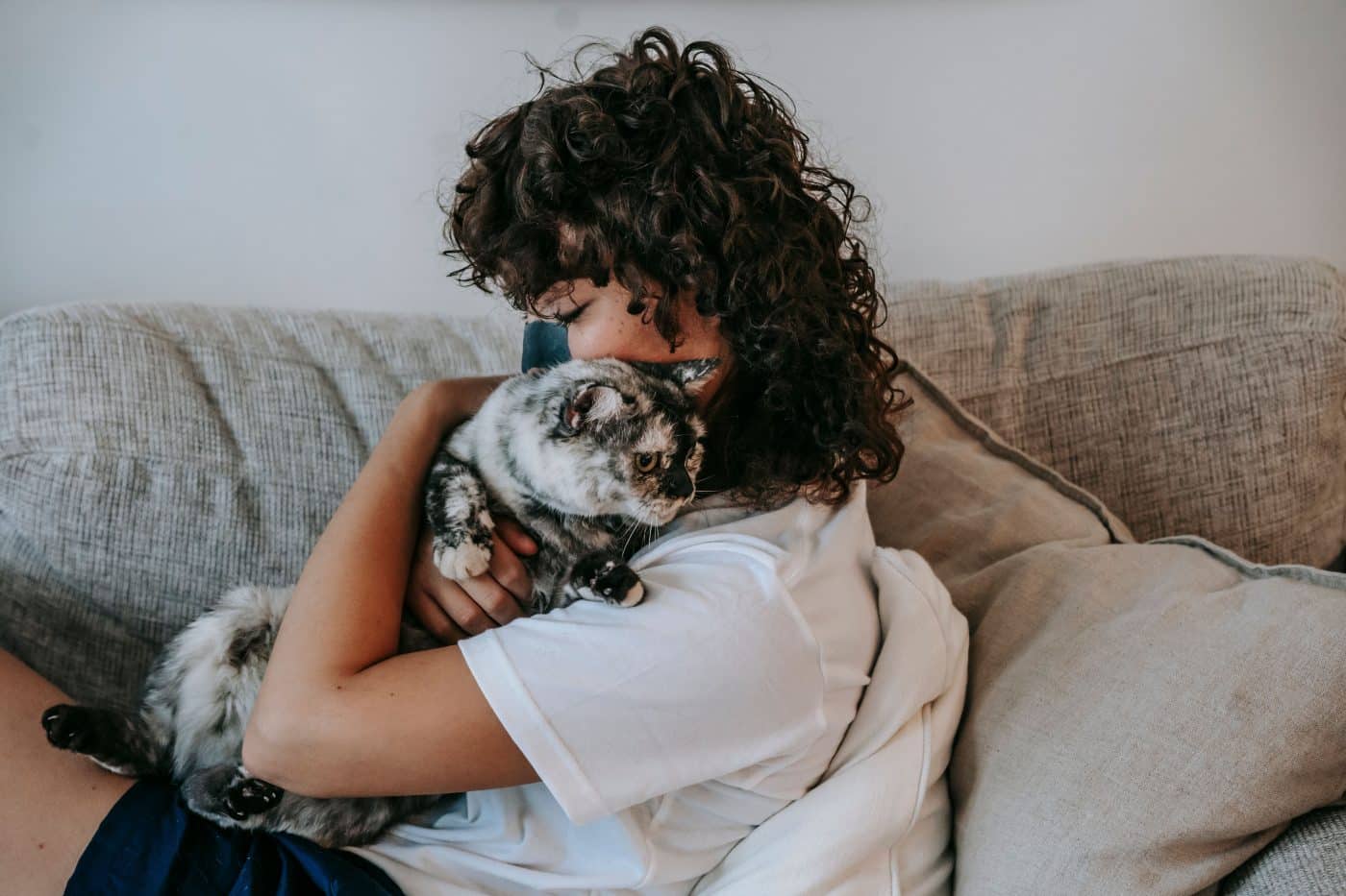 A peaceful cat gently rubbing their cheek against a familiar person's arm during a calm interaction.