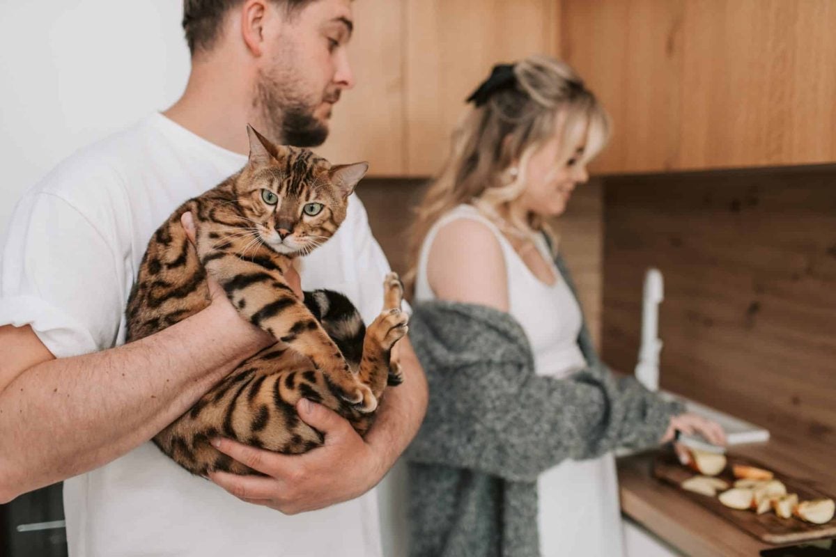 A cat waiting calmly near their food area as their person follows a familiar morning routine.