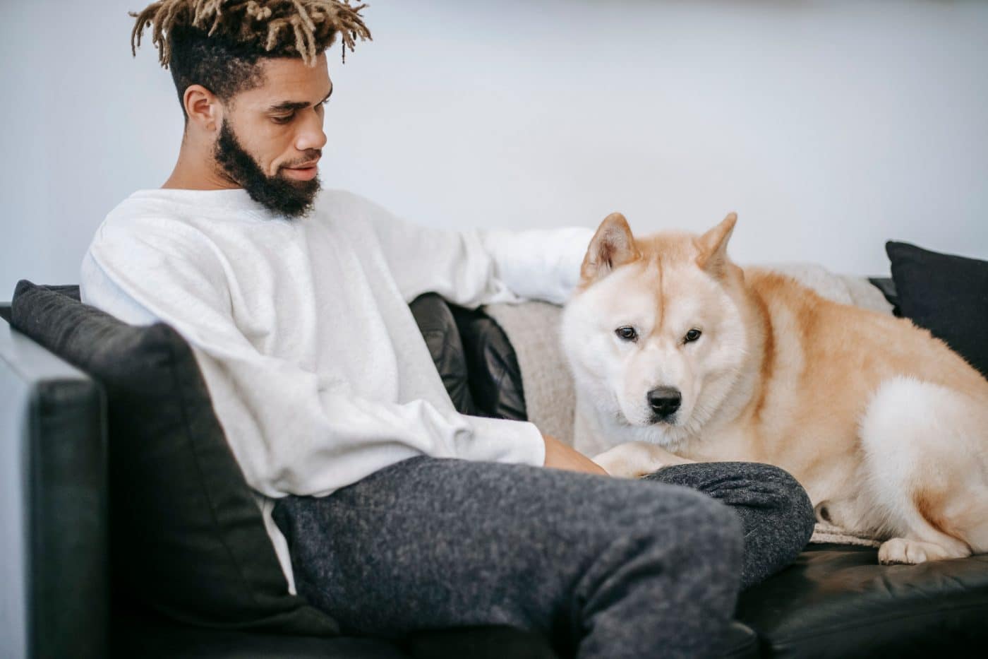 A gentle dog showing quiet loyalty through comforting attentive companionship.