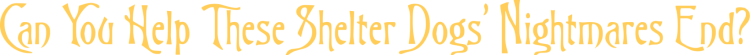 text text