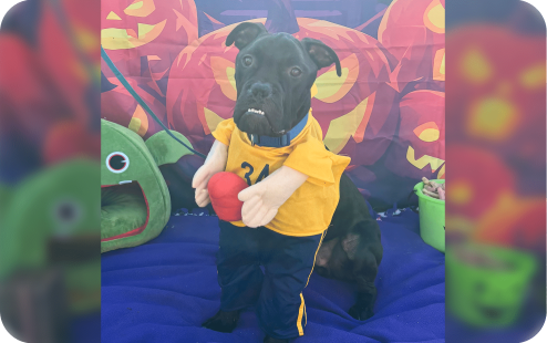 winston