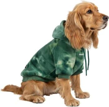 Spark Paws Dog Hoodie