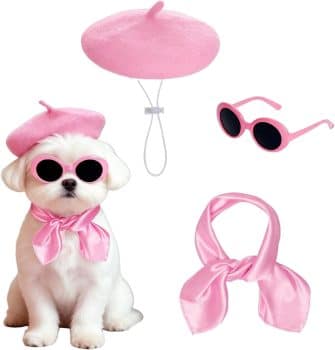 Dog Beret Scarf Glasses Pet French Beanie