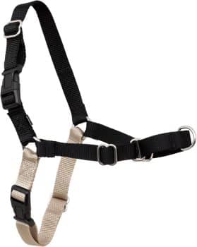 PetSafe Easy Walk Harness for Dogs