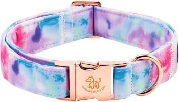 Elegant little tail Dog Collar