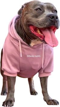  Spark Paws Dog Hoodie 
