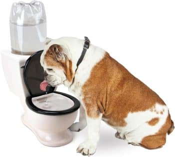  BigMouth Inc The Toilet Water Dish for Pets