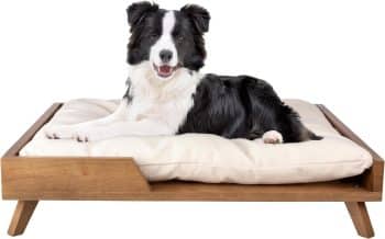 PETMAKER Elevated Dog Bed