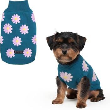 Spark Paws Knit Dog Sweater