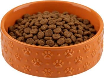  Dog Bowl，Ceramic Dog Bowls