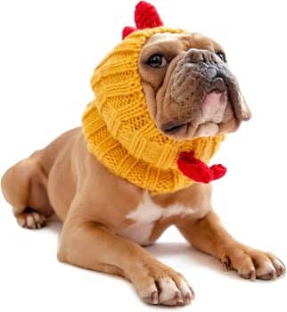 Zoo Snoods Chicken Dog Costume