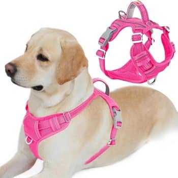  BARKBAY Dog Harness No Pull with ID Tag Pocket