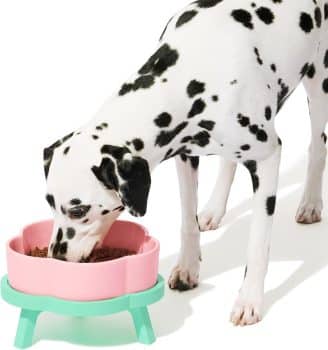  VETRESKA Elevated Dog Bowls Large