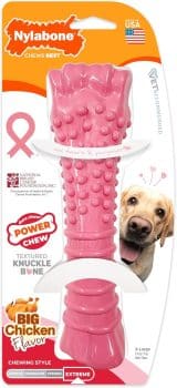 Nylabone Power Chew Breast Cancer Awareness Femur Bone Chew Toy