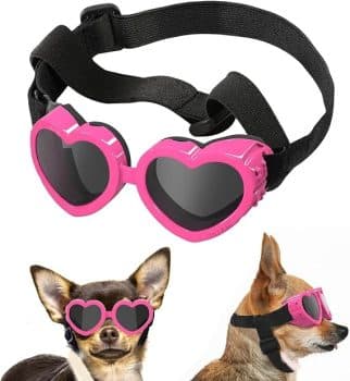  Lewondr Small Dog Sunglasses 