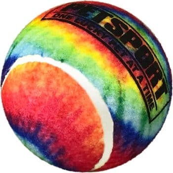 PetSport Tie Dye Squeak Tennis Ball Dog Toy