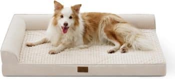  COZY KISS Orthopedic Dog Bed 