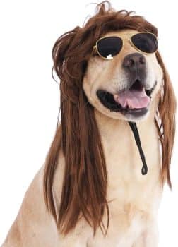 MuYaoPet Dog Mullet Wig and Sunglasses