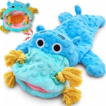  No Stuffing Squeaky Dog Toy