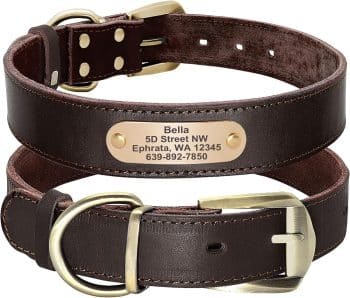  Didog Personalized Genuine Leather Dog Collar 