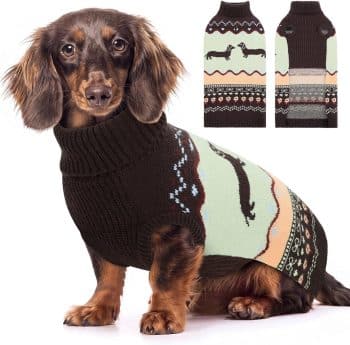 Queenmore Dachshund Dog Sweater