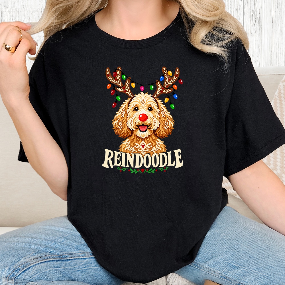 Comfort Colors Reindoodle Vintage Washed Tee - Black