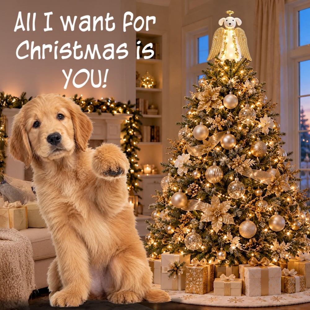 A ‘Christmas Miracle Angel’ Tree Topper, Holiday Decoration- Golden Wings with Lighted Garland & Halo ‘Christmas Miracle Angel’ - Image 12