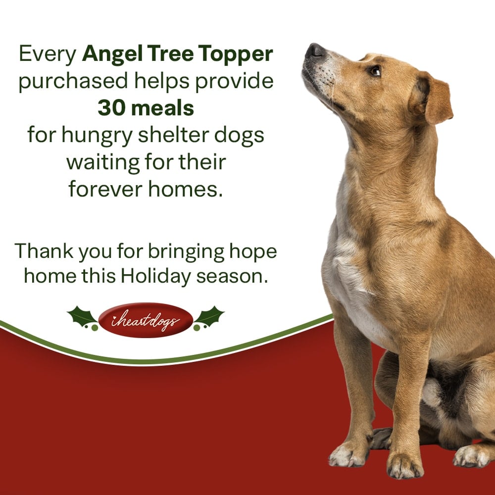 A ‘Christmas Miracle Angel’ Tree Topper, Holiday Decoration- Golden Wings with Lighted Garland & Halo ‘Christmas Miracle Angel’ - Image 13