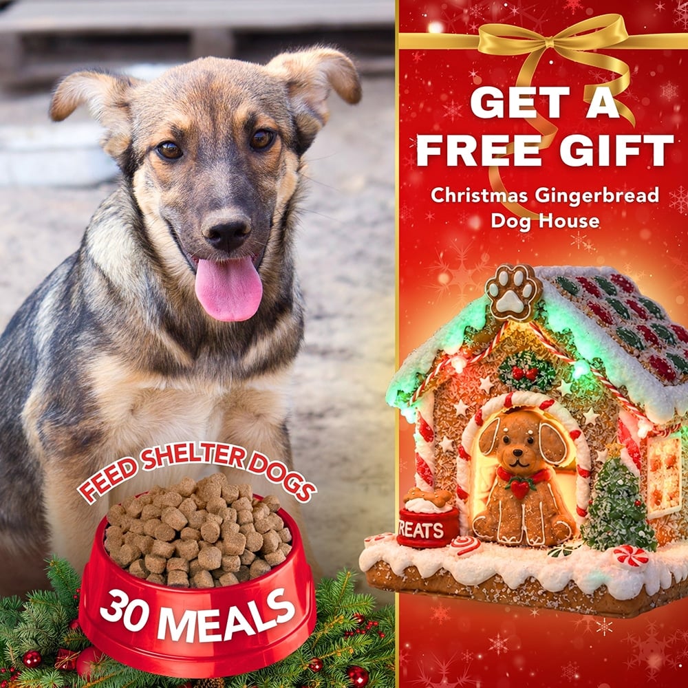 FUND 30 Meals for $30 and Get a FREE Christmas Gingerbread Dog House- Hand Crafted Resin Gingerbread, Lighted Holiday Decor