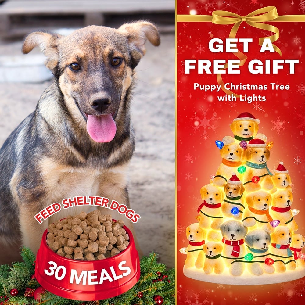 FUND 30 Meals for $30 and Get a FREE Puppy Christmas Tree with Lights
