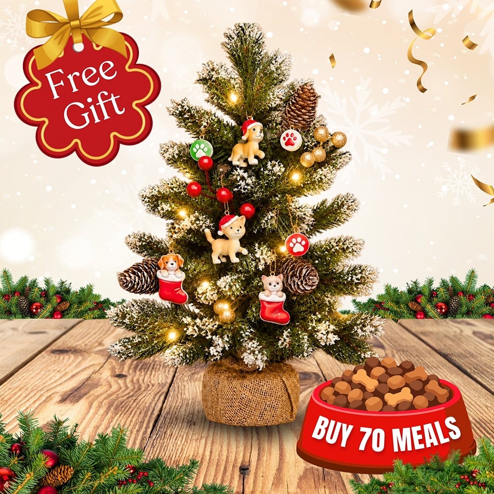 FUND 70 Meals for $35 & Get a FREE Festive Faux Mini Christmas Tree with Lights & 7 Mini Ornaments