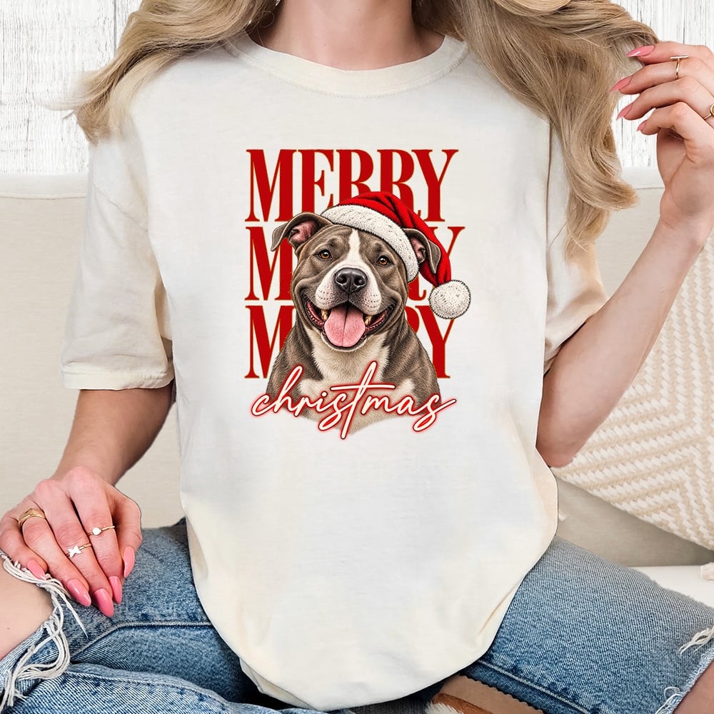 Comfort Colors Merry Merry Merry Christmas Pit Bull Vintage Washed Tee - Ivory