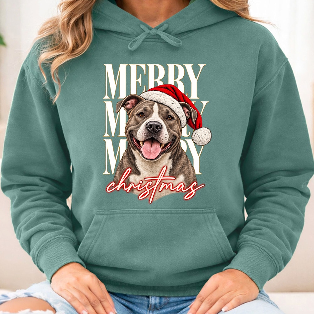 Comfort Colors Merry Merry Merry Christmas Pit Bull Premium Hoodie Light Green