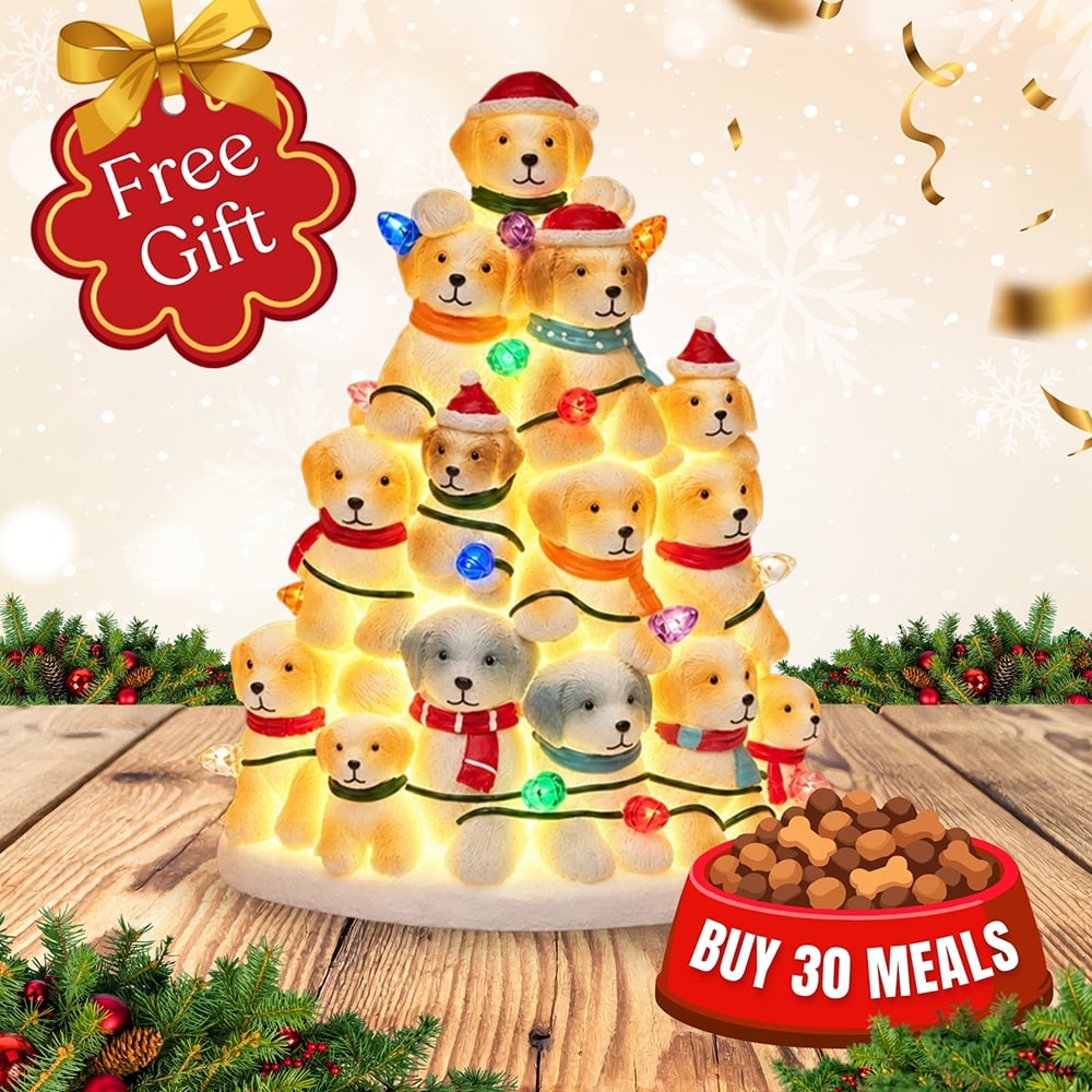 FUND 30 Meals for $30 and Get a FREE Puppy Christmas Tree with Lights